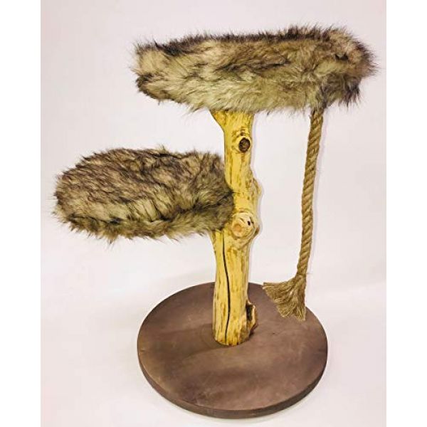 BUSDUGA Natur Kratzbaum